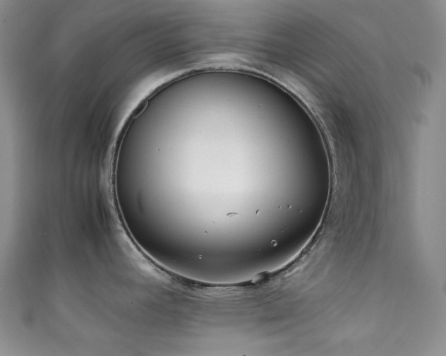 X0000111371392200907101202