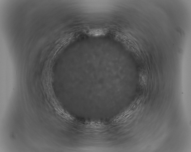 X0000111371393200907101201