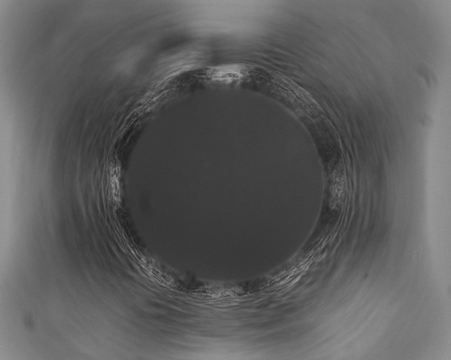 X0000111371394200907101201