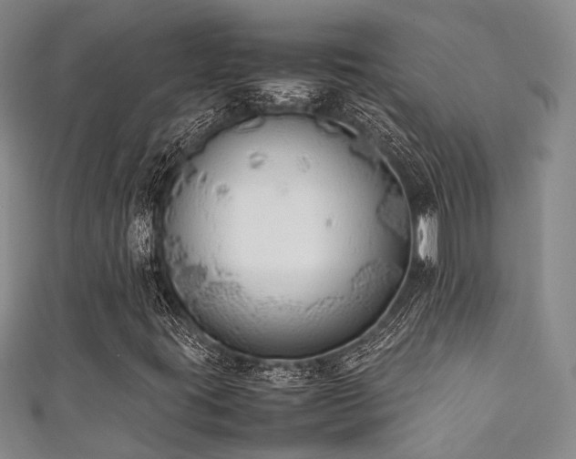 X0000111371395200907101201