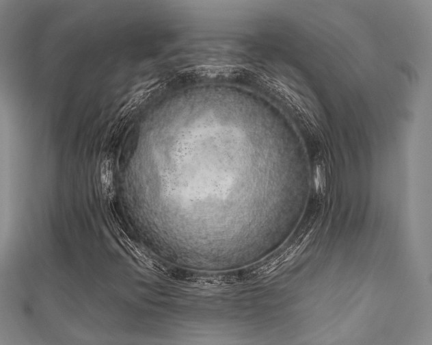 X0000111371396200907101201