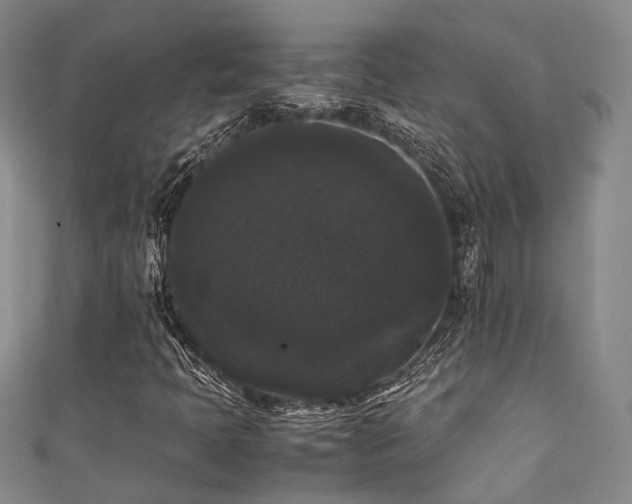 X0000111371397200907101201