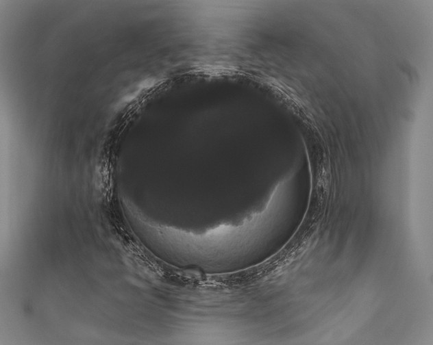 X0000111371398200907101201