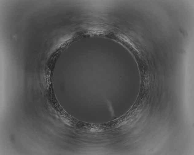 X0000111371399200907101201