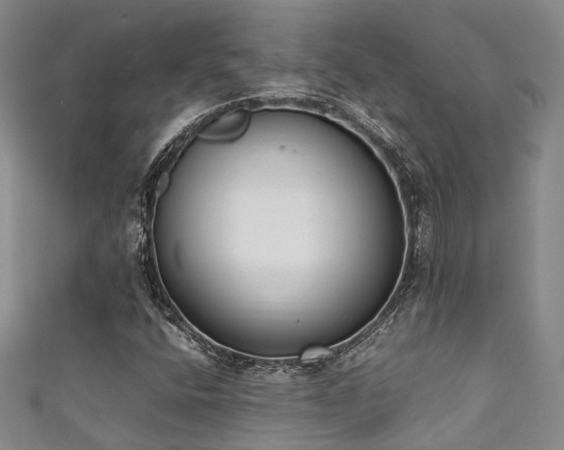 X0000111371400200907101201