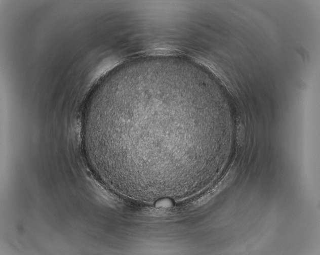 X0000111371402200907101201