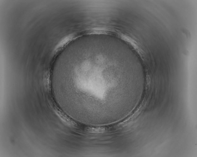 X0000111371403200907101201