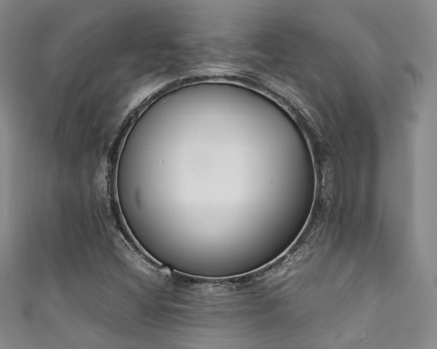X0000111371404200907101201