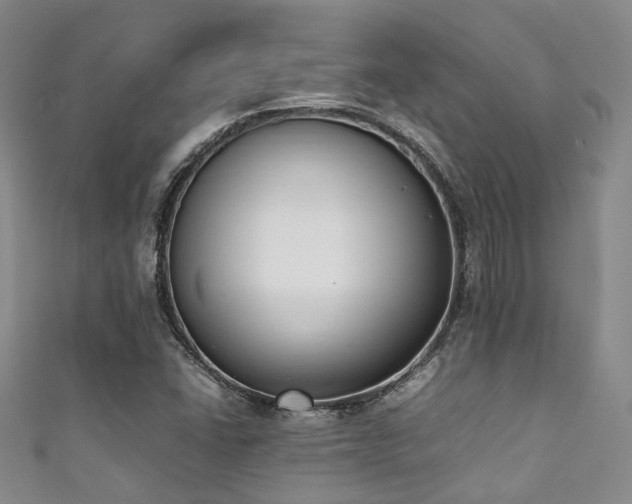 X0000111371406200907101201