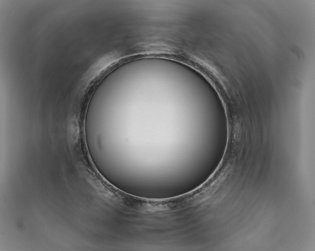 X0000111371407200907101201