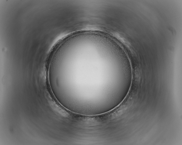 X0000111371408200907101201