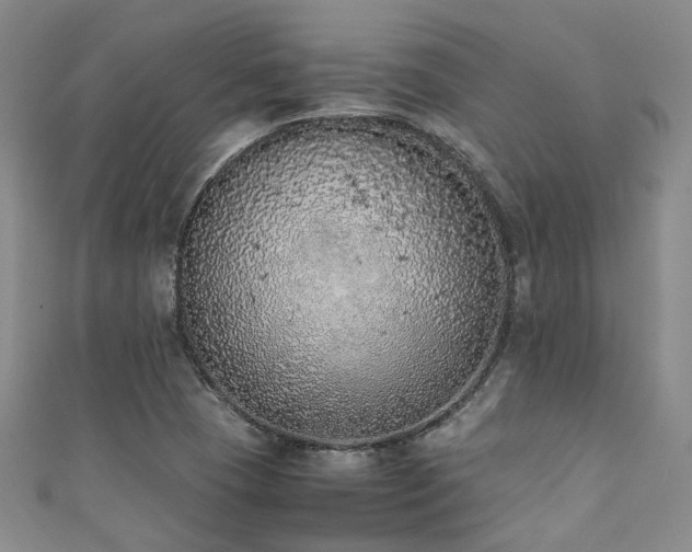 X0000111371409200907101201