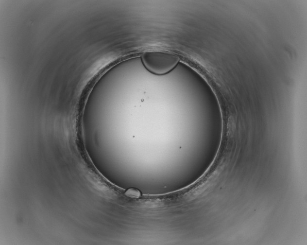 X0000111371410200907101201