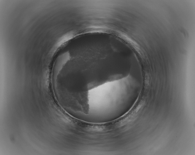X0000111371411200907101201