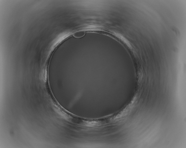 X0000111371413200907101201