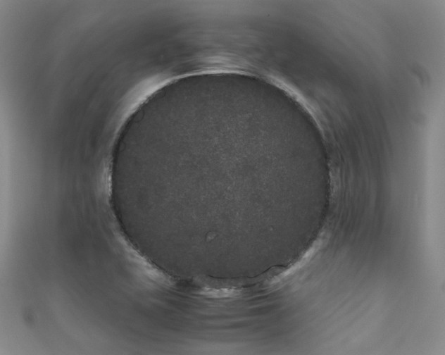 X0000111371415200907101201