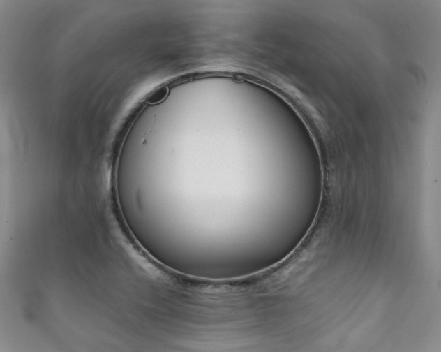 X0000111371416200907101201
