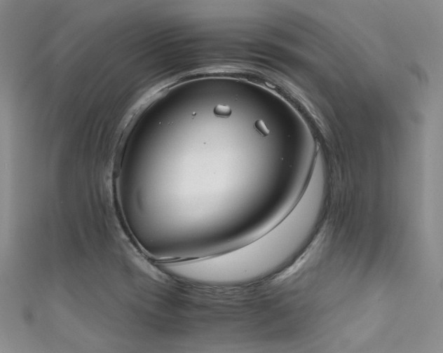X0000111371417200907101201