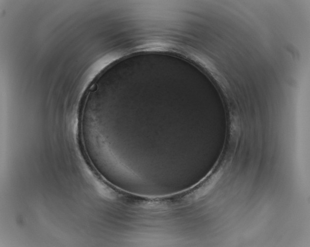 X0000111371418200907101201