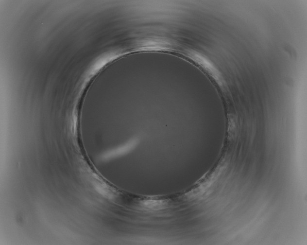 X0000111371419200907101201