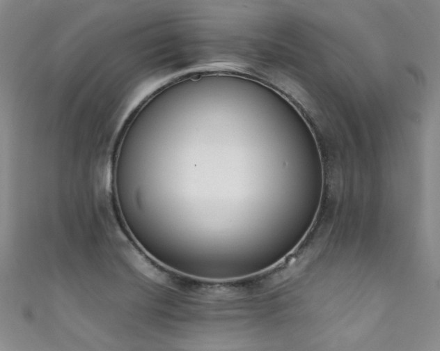 X0000111371420200907101201