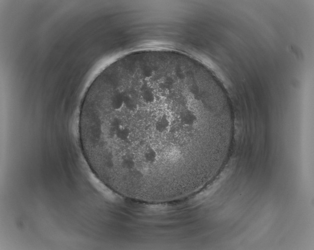 X0000111371421200907101201