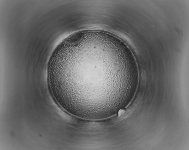 X0000111371424200907101201