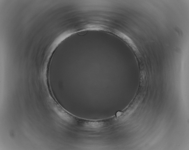 X0000111371427200907101202
