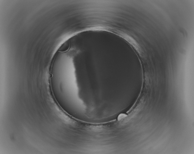 X0000111371428200907101202
