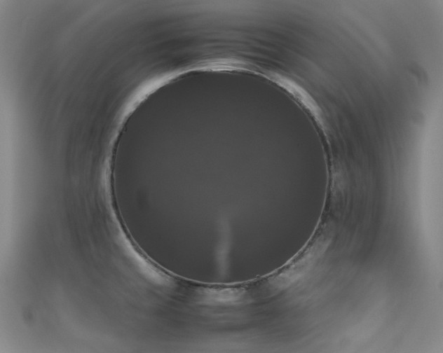 X0000111371429200907101202