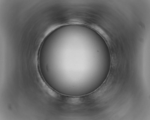 X0000111371431200907101202
