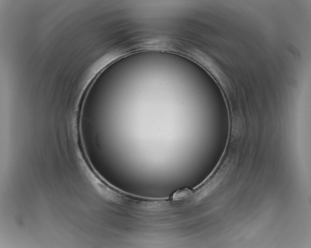 X0000111371434200907101202