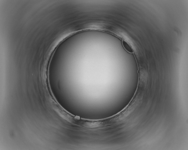 X0000111371435200907101202