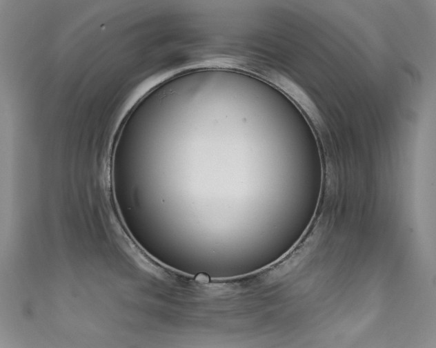 X0000111371436200907101202