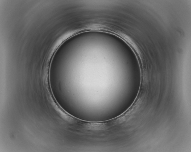 X0000111371437200907101202