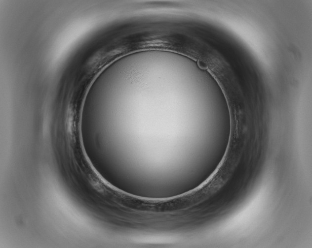 X0000111371438200907101202