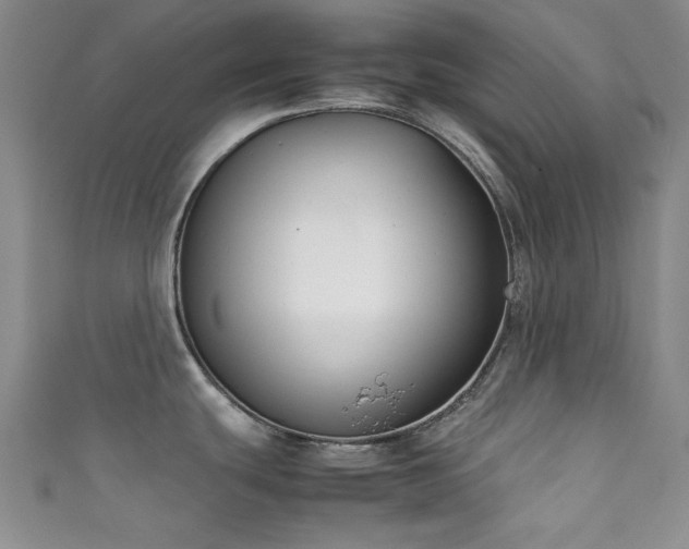 X0000111371439200907101202