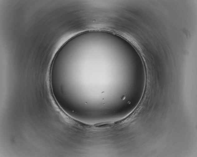 X0000111371440200907101202