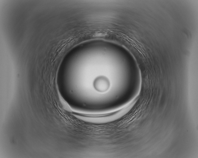 X0000111371441200907101201
