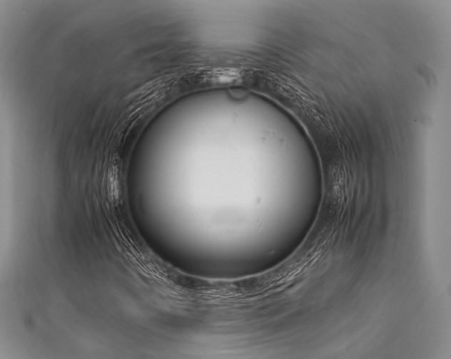 X0000111371442200907101201