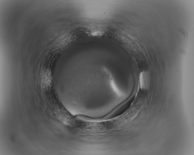 X0000111371443200907101201