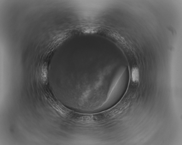 X0000111371444200907101201