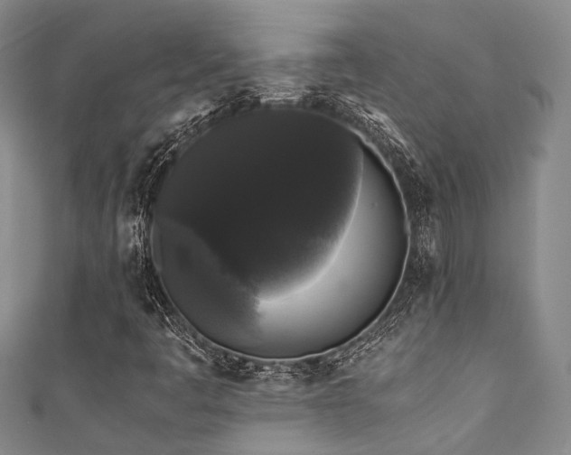 X0000111371445200907101201
