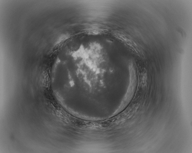 X0000111371446200907101201