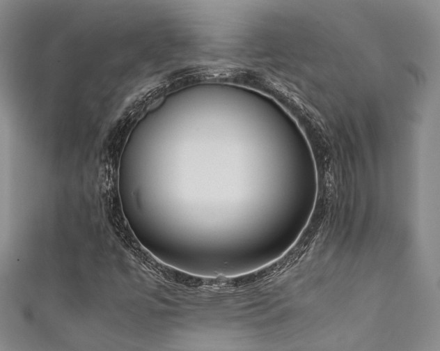 X0000111371447200907101201