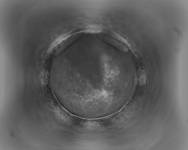 X0000111371448200907101201
