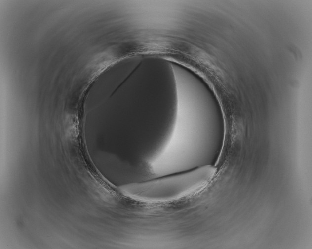 X0000111371449200907101201