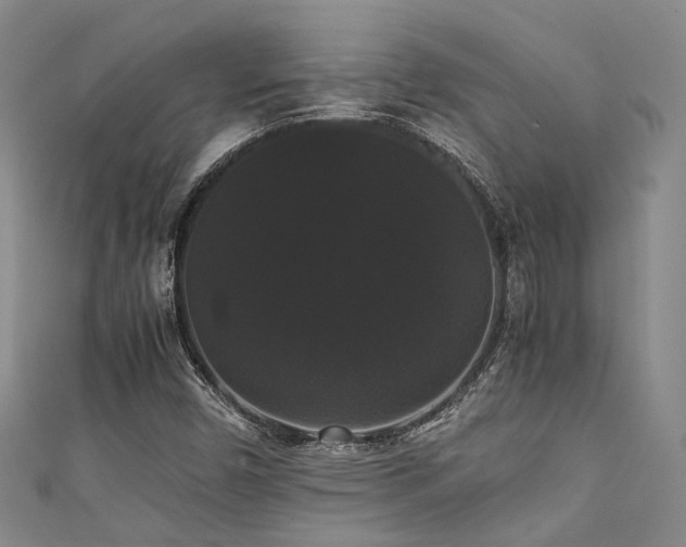 X0000111371450200907101201