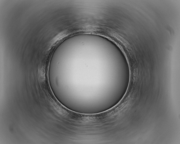 X0000111371451200907101201