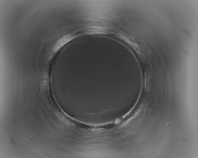 X0000111371453200907101201